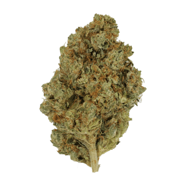 Nepalese | Online Dispensary Canada Shop