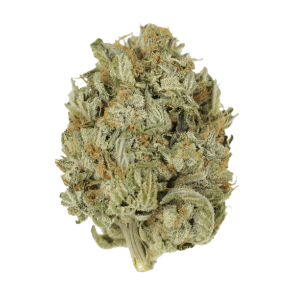 Blue Dream (Popcorn) | Online Dispensary Canada Shop