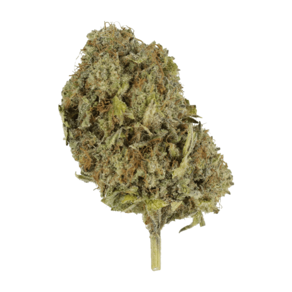 God’s Green Crack | Online Dispensary Canada Shop