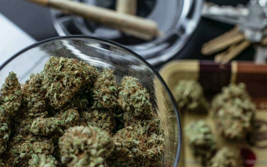 Premium cannabis vs Affordable Weed | Online Dispensary Canada Shop
