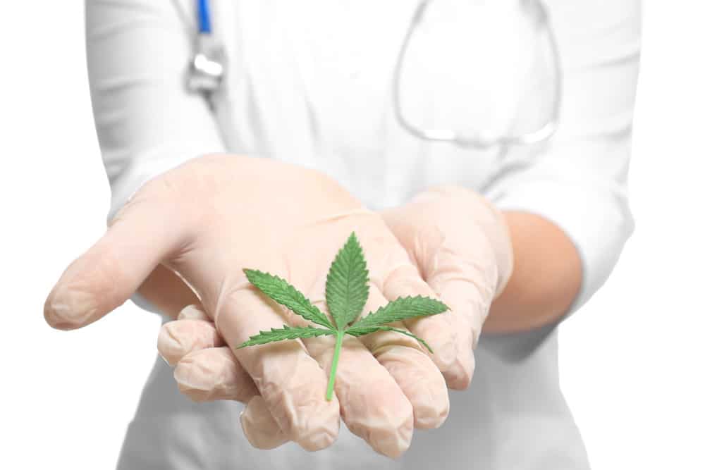 Cannabis as a natural cure for pain | Online Dispensary Canada Shop