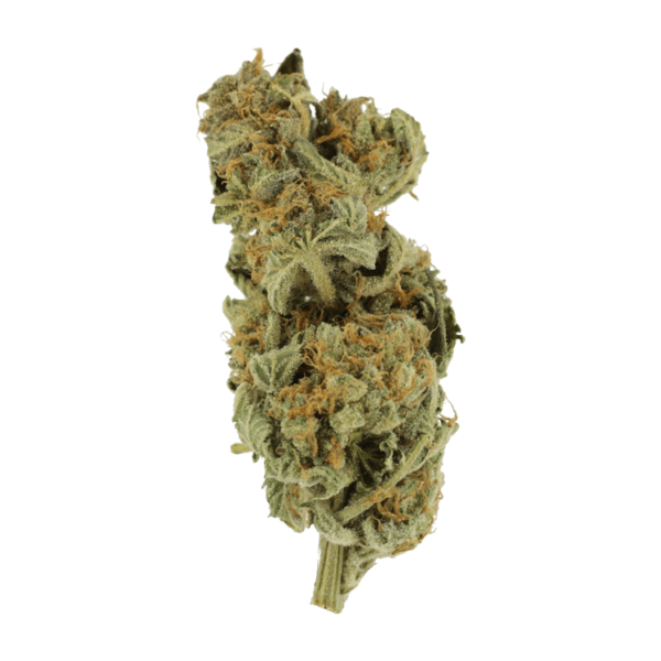 Gorilla Glue | Online Dispensary Canada Shop