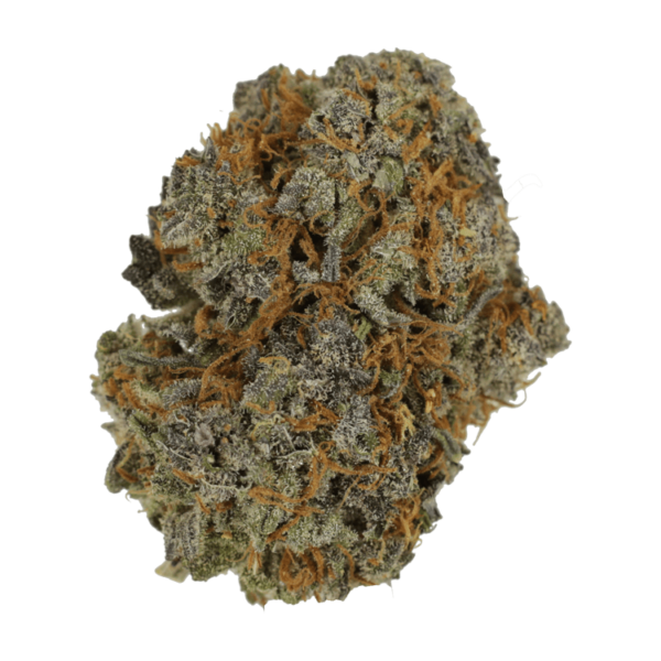 Jack Herer 1 Ounce | Online Dispensary Canada Shop