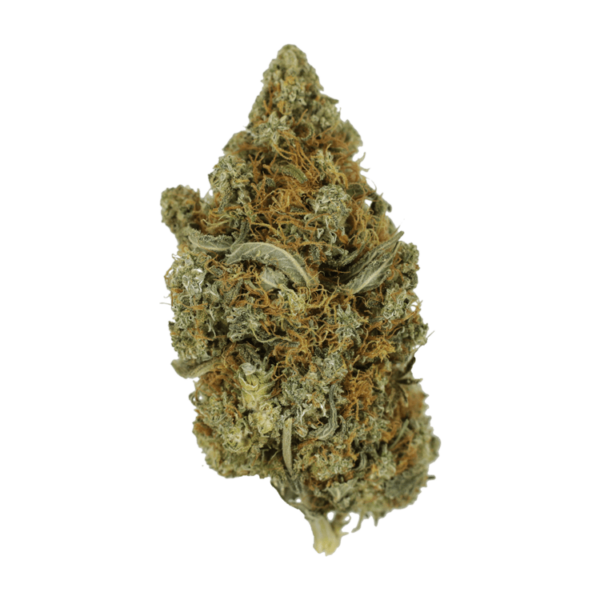 Jack Herer 1 Ounce | Online Dispensary Canada Shop