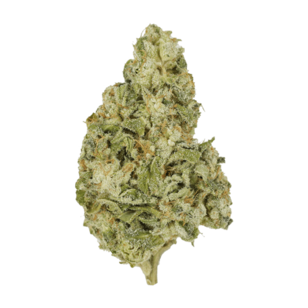 Zombie OG | Online Dispensary Canada Shop