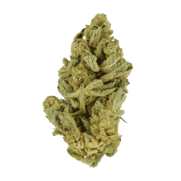 Hindu Kush – 7g | Online Dispensary Canada Shop