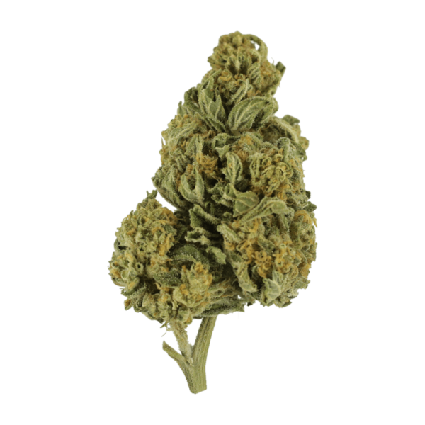 Blackwater | Online Dispensary Canada Shop