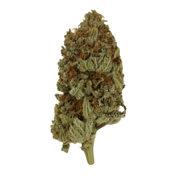 Congo | Online Dispensary Canada Shop