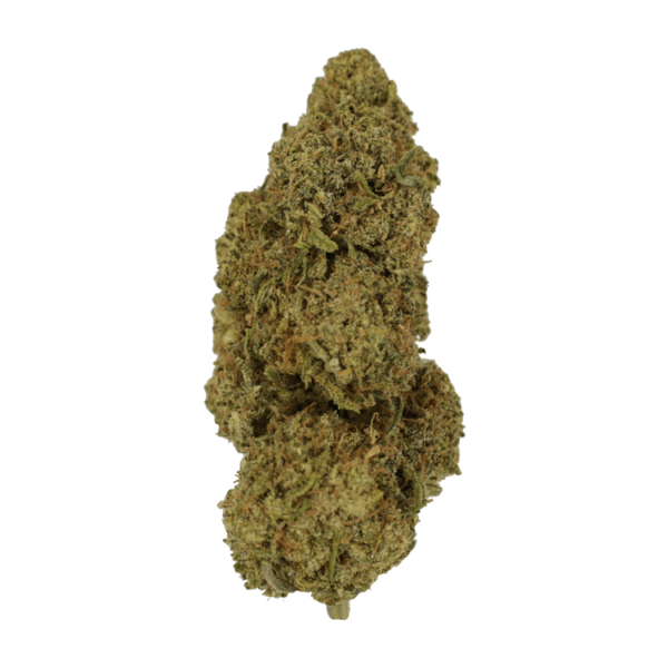 9lb Hammer | Online Dispensary Canada Shop