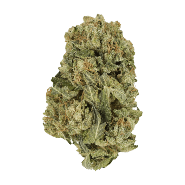 Black Domina | Online Dispensary Canada Shop