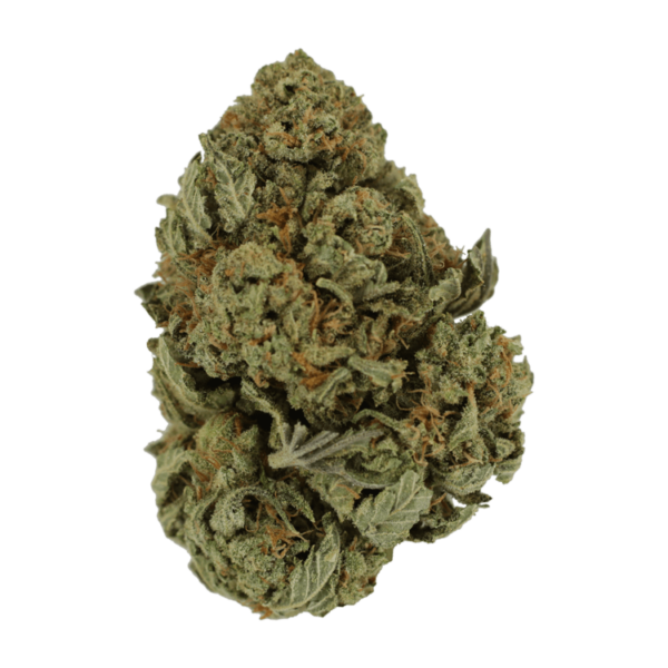 Master Kush Ultra | Online Dispensary Canada Shop