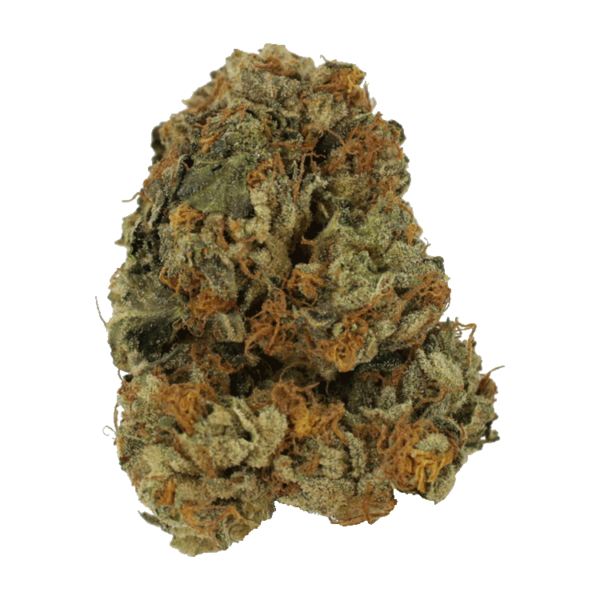 Dolato – 1OZ | Online Dispensary Canada Shop