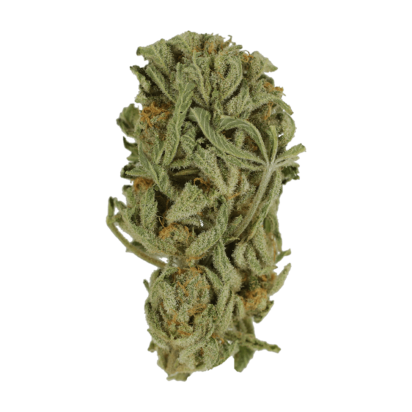 Master Kush Ultra | Online Dispensary Canada Shop