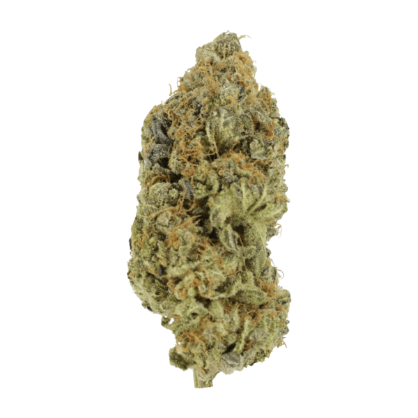 Critical Widow | Online Dispensary Canada Shop
