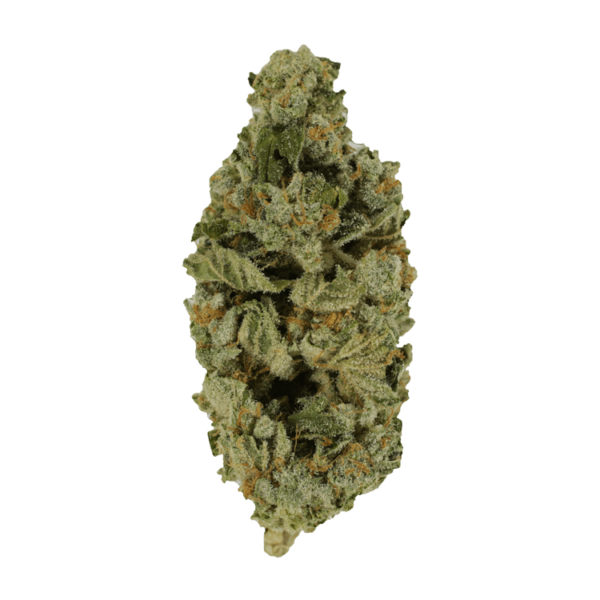 Crazy Glue | Online Dispensary Canada Shop