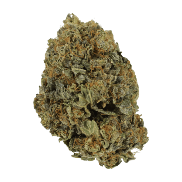 White Shark – 1 ounce | Online Dispensary Canada Shop