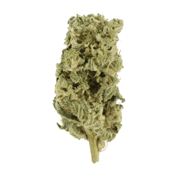 Romulan Hashplant | Online Dispensary Canada Shop