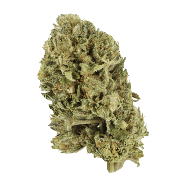 Purple OG Kush – 1 ounce | Online Dispensary Canada Shop