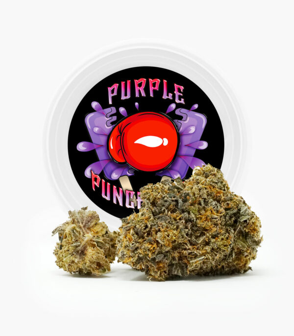 Westcoast Cali Tins – Premium Flower – Purple Punchsicle – 14g | Online Dispensary Canada Shop
