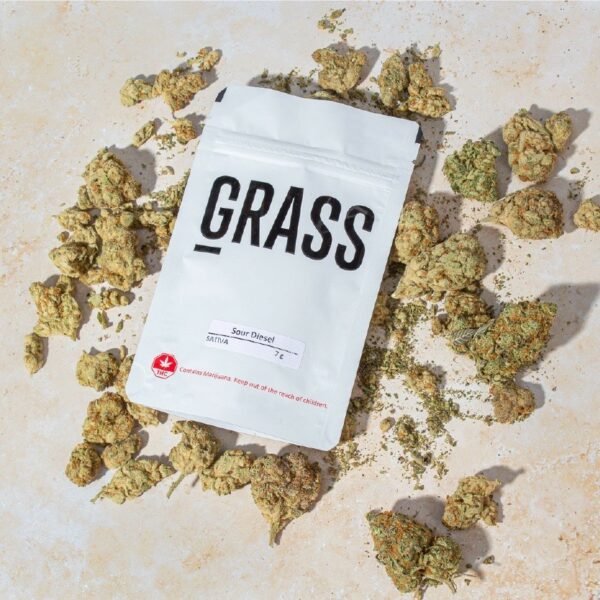1/2OZ Sample Pack (AAA) – SAVE 20% | Online Dispensary Canada Shop
