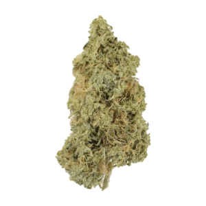 Tropicana Cookies | Online Dispensary Canada Shop