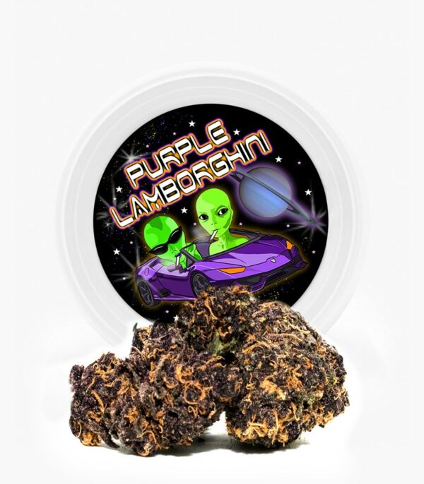 Westcoast Cali Tins – Premium Flower – Purple Lamborghini – 3.5g | Online Dispensary Canada Shop
