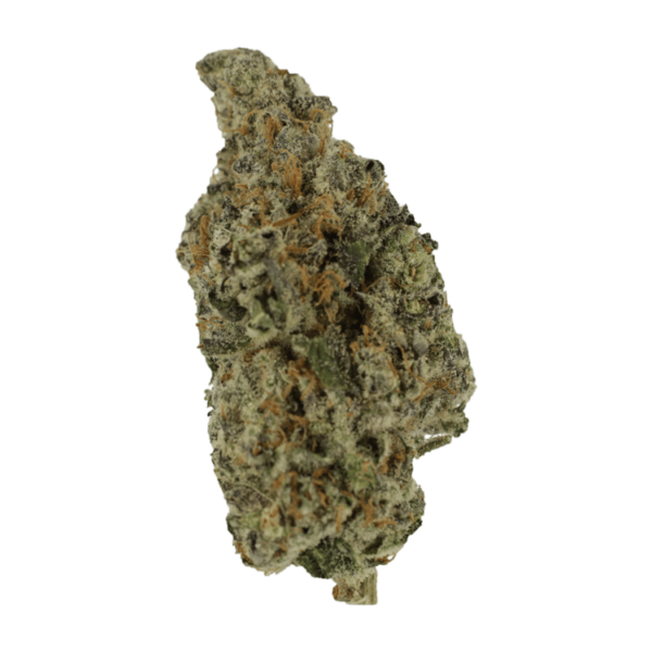 Biscotti Sundae | Online Dispensary Canada Shop