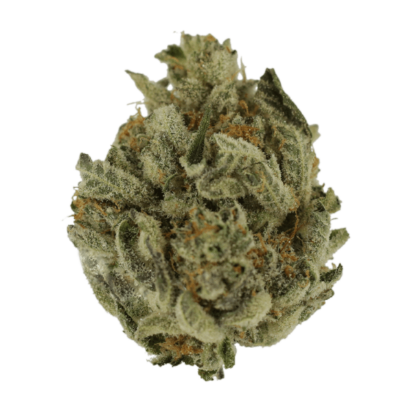 Biscotti Sundae | Online Dispensary Canada Shop