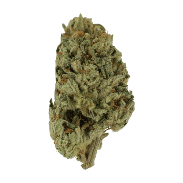 Biscotti Sundae | Online Dispensary Canada Shop