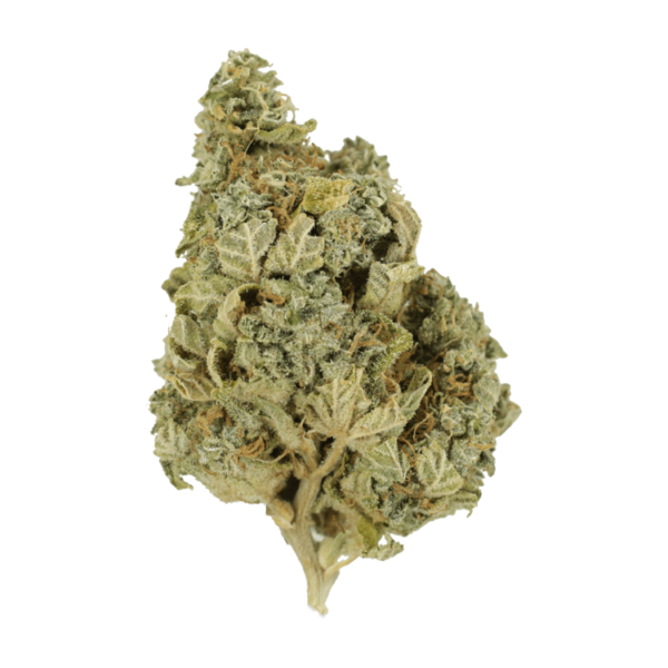 Khalifa Kush | Online Dispensary Canada Shop