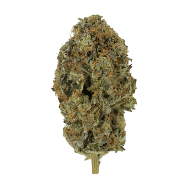 Acapulco Gold | Online Dispensary Canada Shop