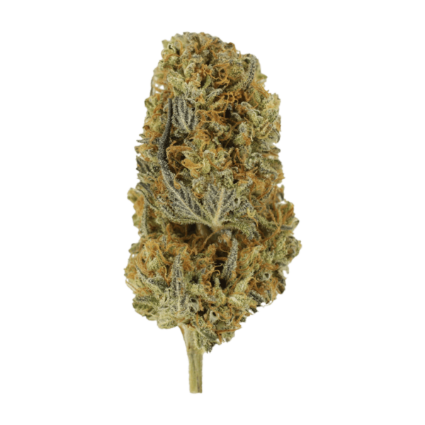 Headband | Online Dispensary Canada Shop