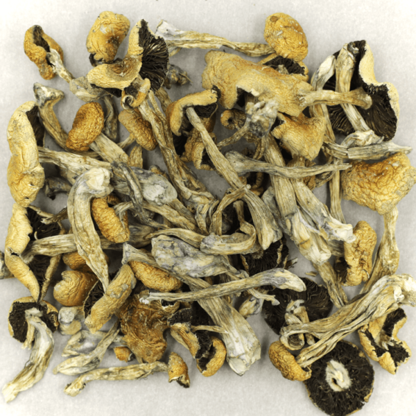 Puerto Rican | Online Dispensary Canada Shop