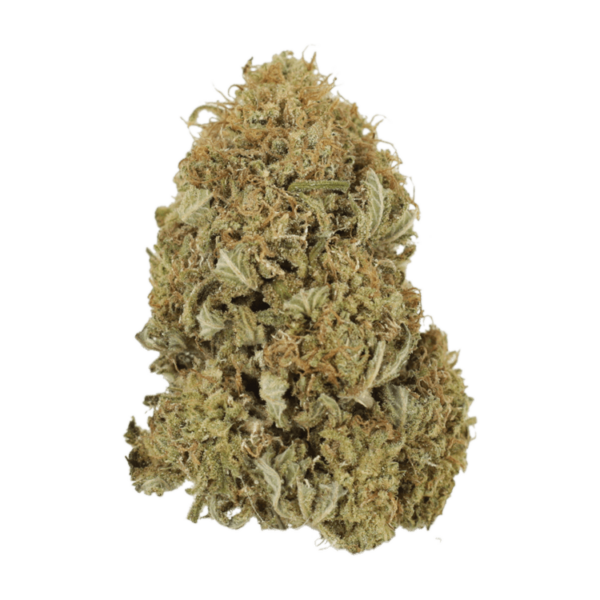 G13 | Online Dispensary Canada Shop