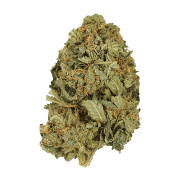G13 | Online Dispensary Canada Shop