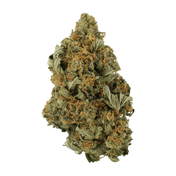 God’s Bubba | Online Dispensary Canada Shop