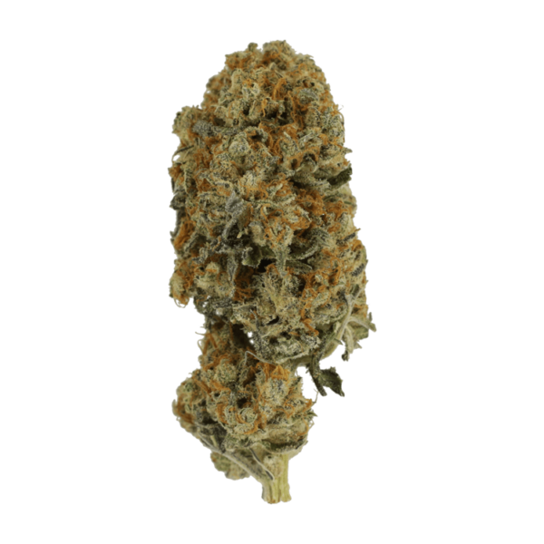 Jacks Girl | Online Dispensary Canada Shop