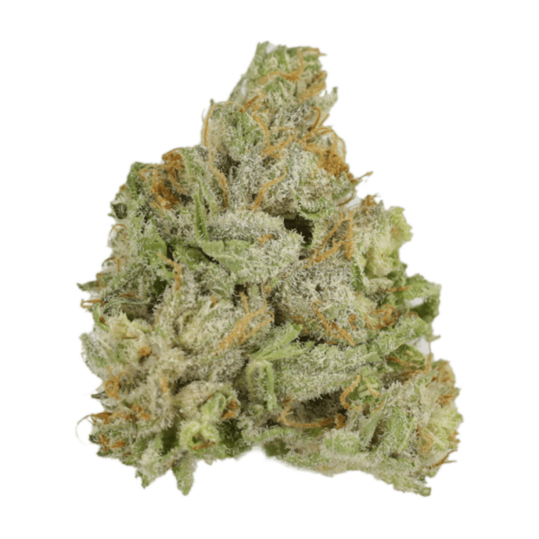 El Jefe | Online Dispensary Canada Shop