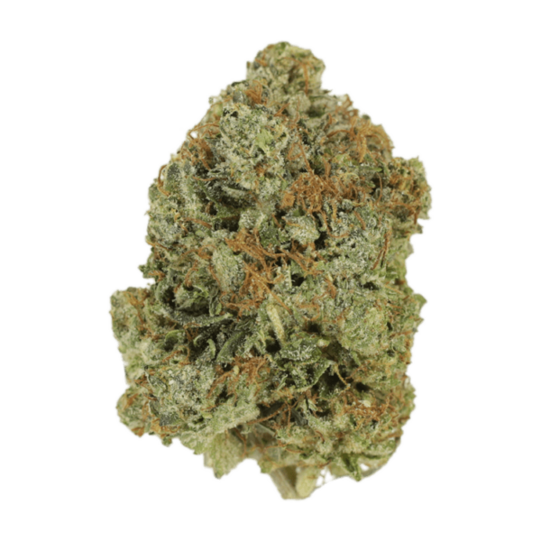 Jack Herer (popcorn) | Online Dispensary Canada Shop