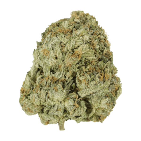 Godzilla Glue | Online Dispensary Canada Shop