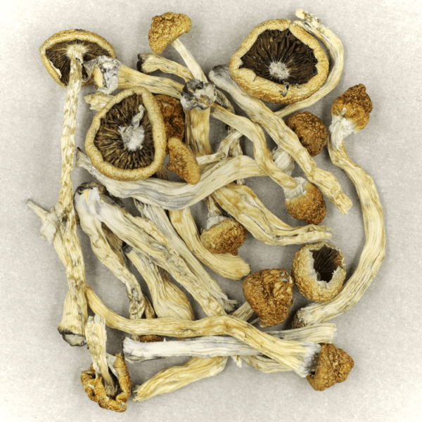 Texas Yellow Cap | Online Dispensary Canada Shop