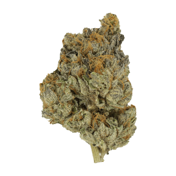 Divorce Cake | Online Dispensary Canada Shop