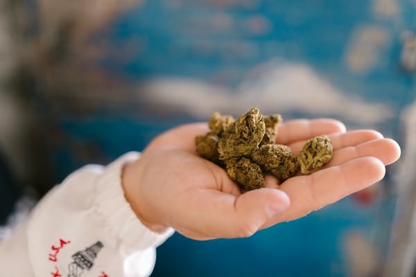 Buy cannabis Online Nunavut | Online Dispensary Canada Shop | Online Dispensary Canada Shop