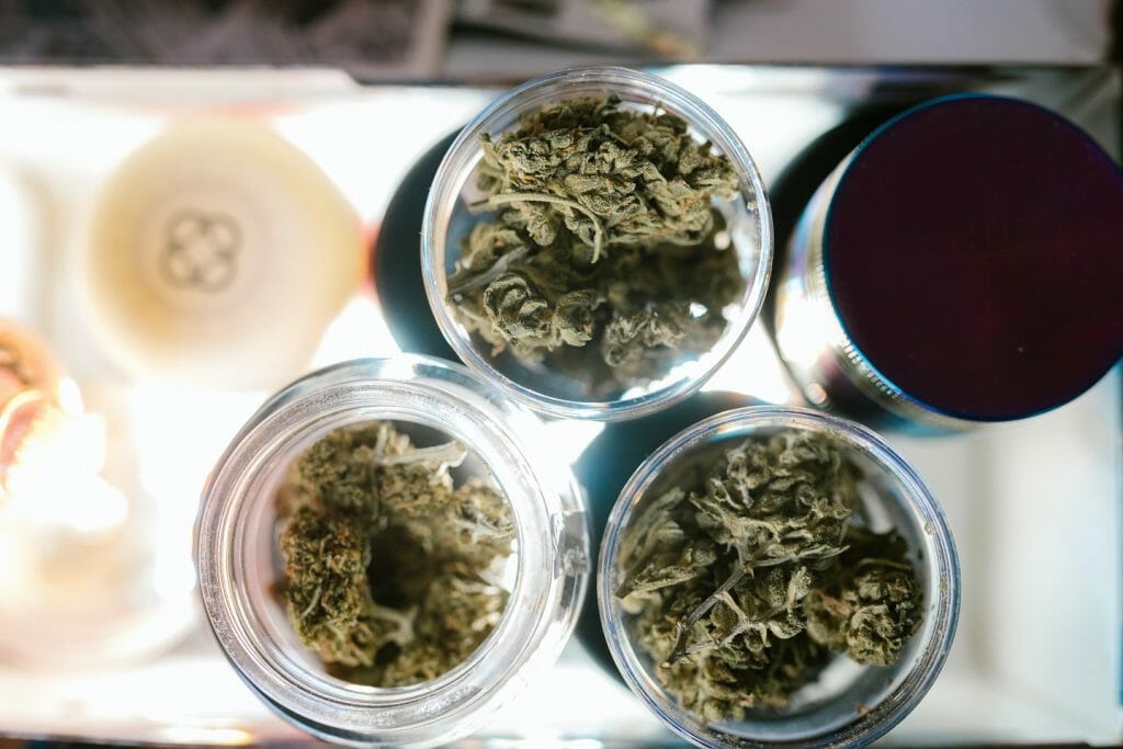 Best cannabis in Canada: Finding the Premium Hybrid Strains | Online Dispensary Canada Shop | Online Dispensary Canada Shop
