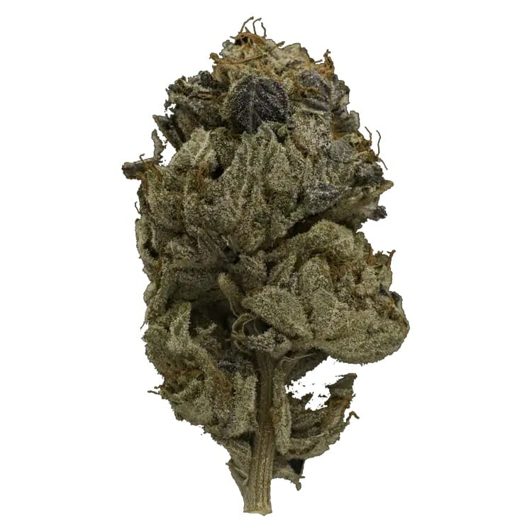 Enjoy the Heavy Indica Effects of Pink Gas Mask Strain | Online Dispensary Canada Shop | Online Dispensary Canada Shop
