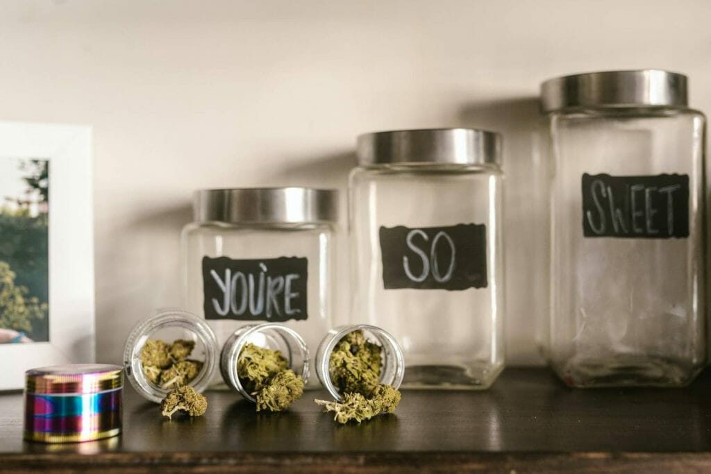 Beyond the Bud: The Role of a cannabis Dispensary in Promoting Wellness | Online Dispensary Canada Shop | Online Dispensary Canada Shop