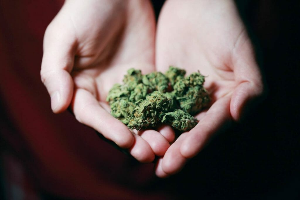 Elevate Your High With The Best Ontario cannabis Strains | Online Dispensary Canada Shop | Online Dispensary Canada Shop