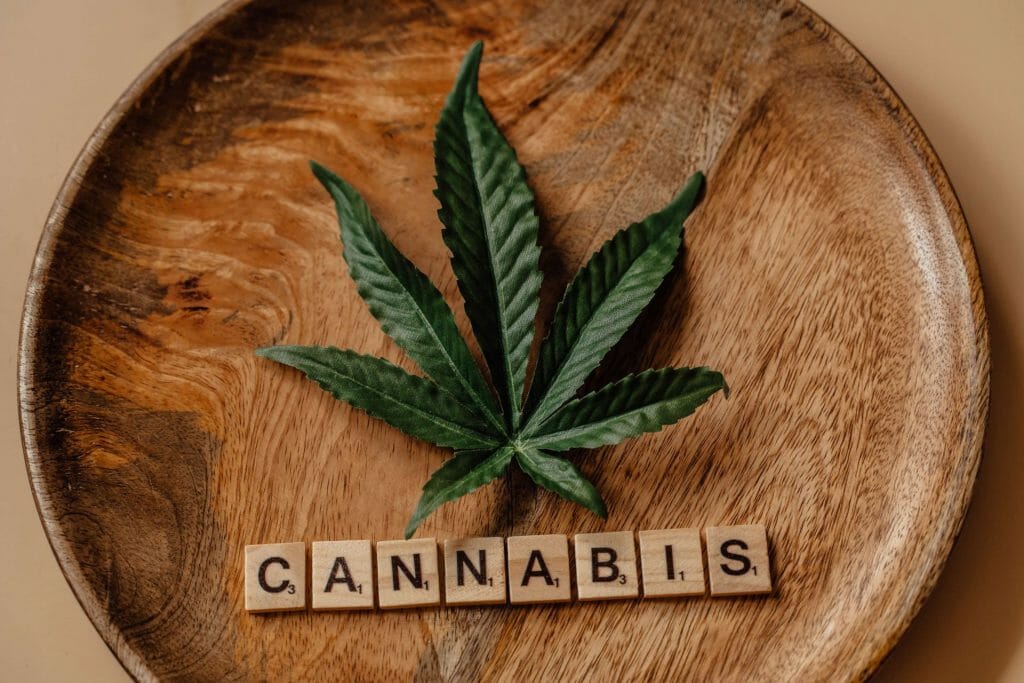 Beyond the Bud: The Role of a cannabis Dispensary in Promoting Wellness | Online Dispensary Canada Shop | Online Dispensary Canada Shop