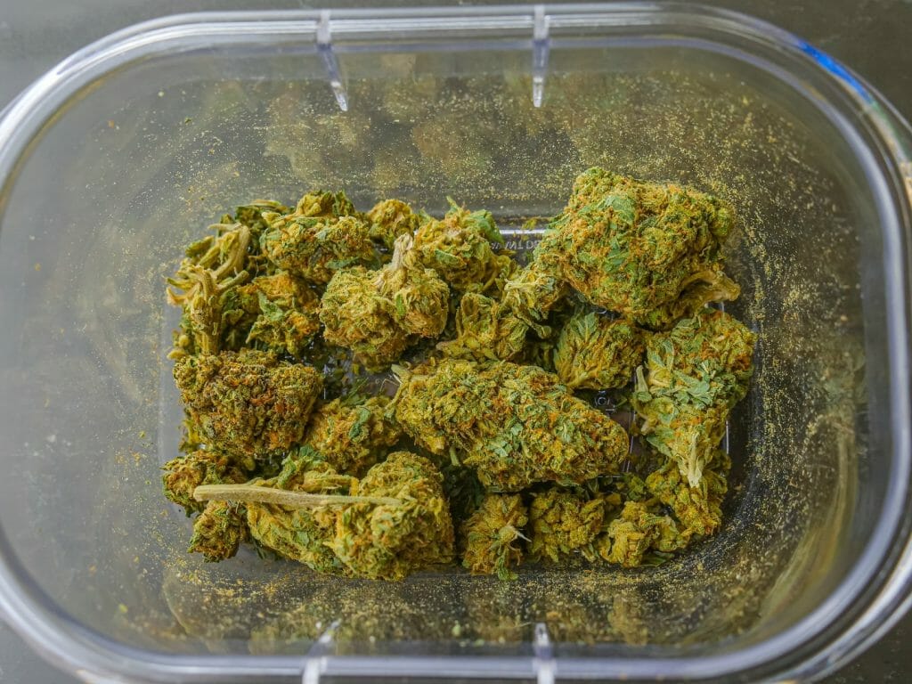 Best cannabis in Canada: Finding the Premium Hybrid Strains | Online Dispensary Canada Shop | Online Dispensary Canada Shop