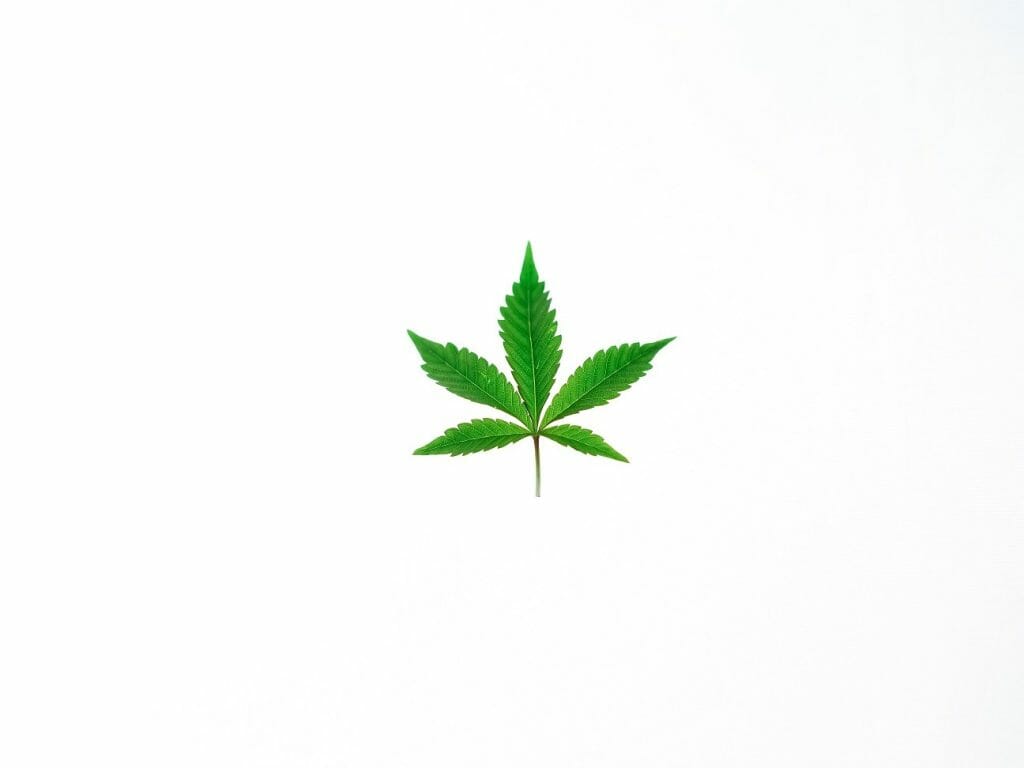 Benefits of Shopping in a BC cannabis Online Dispensary | Online Dispensary Canada Shop